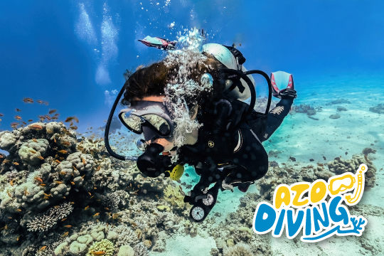 AZO DIVING　アゾ ダイビング